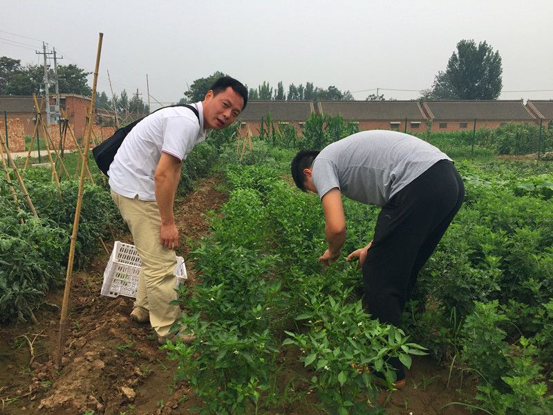 好利來(lái)郭總喊您來(lái)摘菜啦！綠色無(wú)公害，放心！